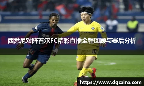 西悉尼对阵首尔FC精彩直播全程回顾与赛后分析